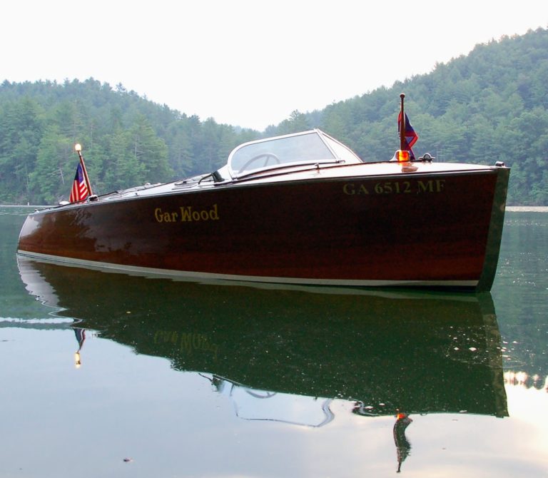 Pegaus in water still 768x670