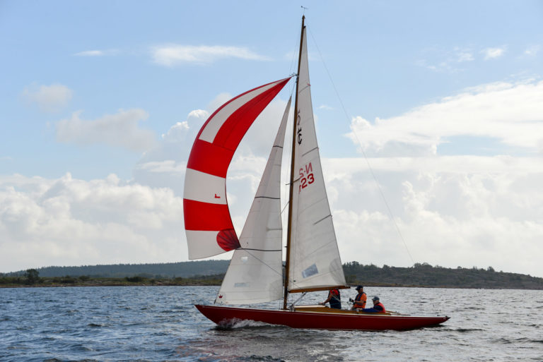 Princess smallDSC 1178 768x513