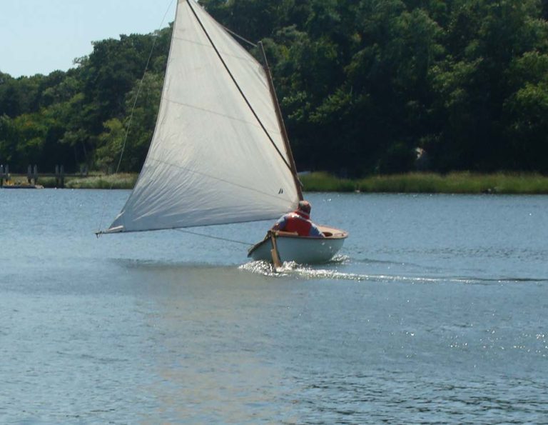 Running Free 768x595