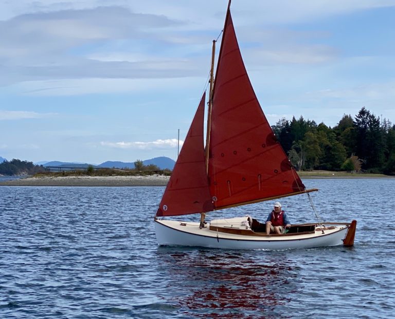 SKORRI Gartside Daysailer 20 768x622