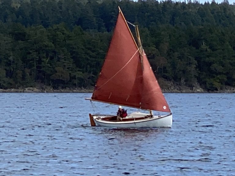 SKORRI Gartside Daysailer 22 768x576