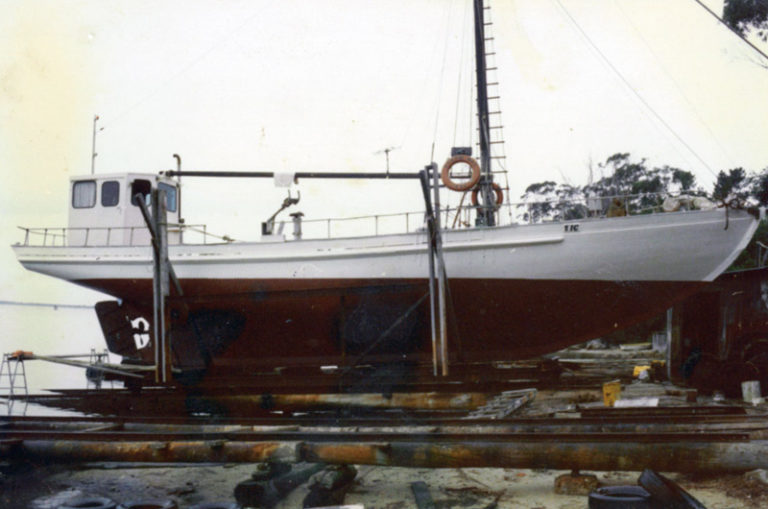 Screen Shot 2020 06 26 at 12.39.01 pm 768x509