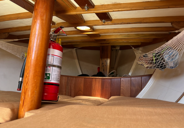 Screen Shot 2022 02 01 at 7.34.32 PM 768x535