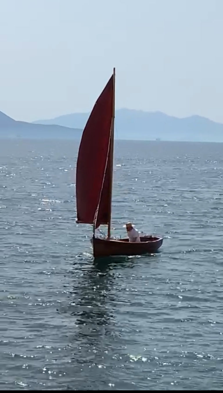 Screenshot 20220211 1530512 768x1355