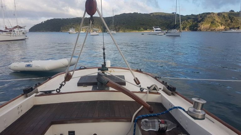 Tangaroa at Urepekapeka 2022 01 02 072432 001 768x432