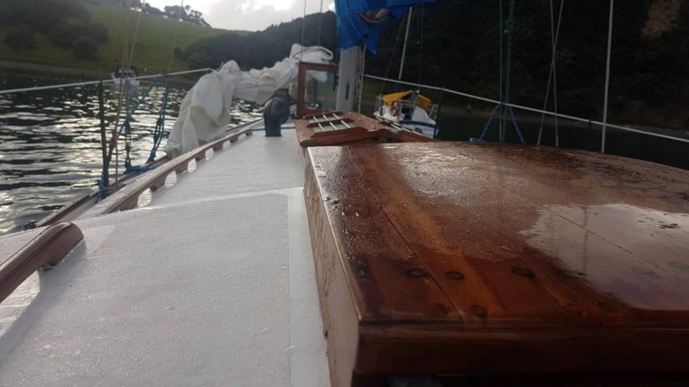 Tangaroa at Urepekapeka at dawn 20220102 768x432