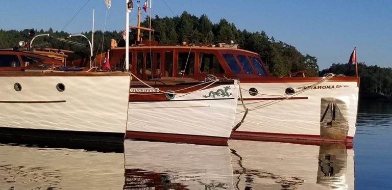 Three distinctive Noses 768x373