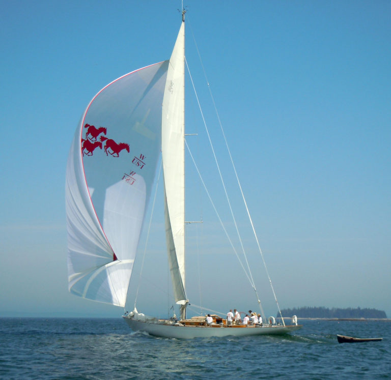 Wild Horses for WCBS 768x747