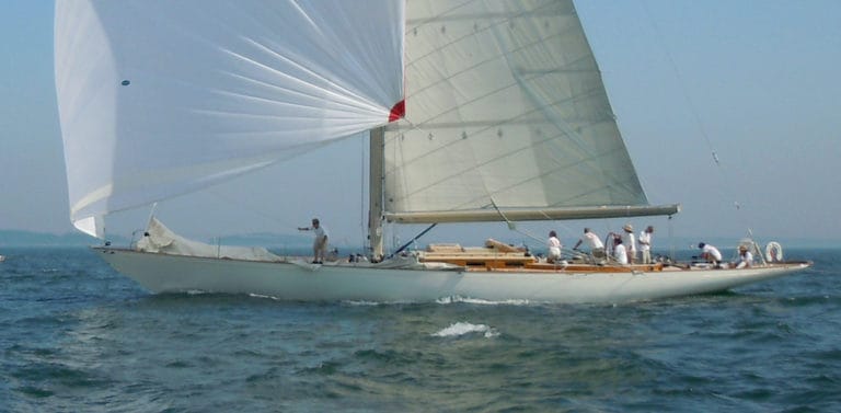 Wild Horses3 for WCBS copy 768x377