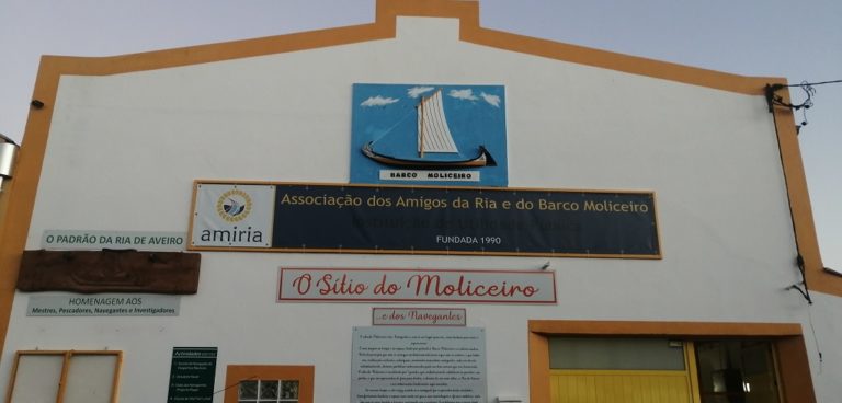 amiria house 768x368