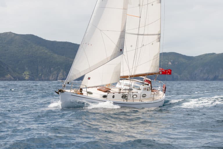 b DW 150124 D868961 768x512