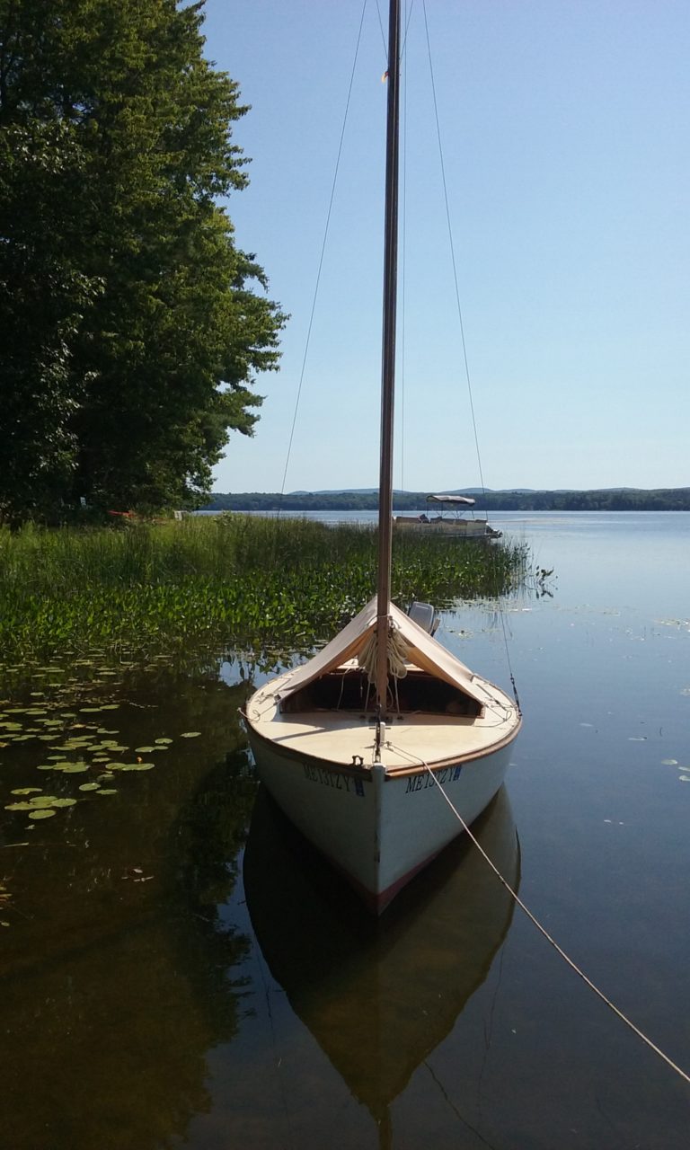 cobweb 2017 2 768x1280