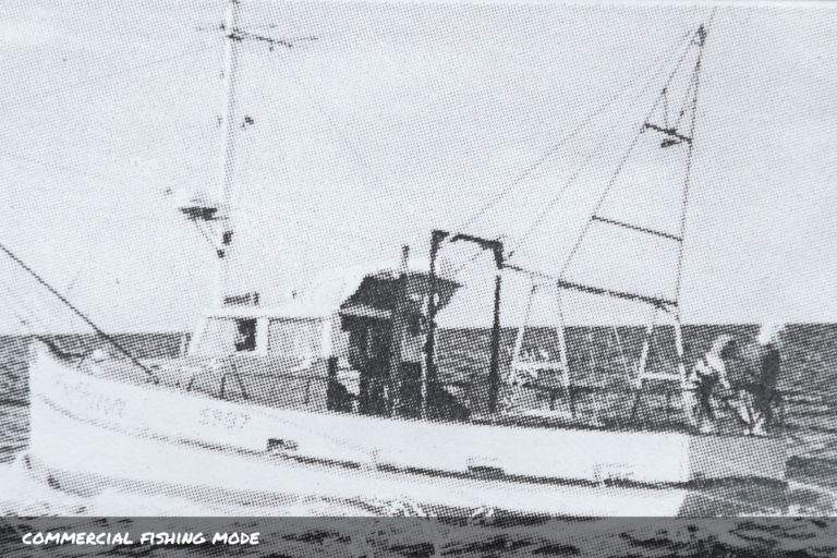 commercial big 768x512