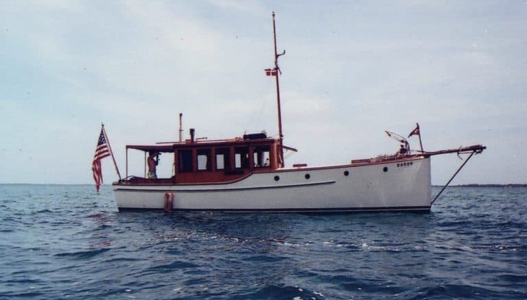 dagon nrcrop 768x438