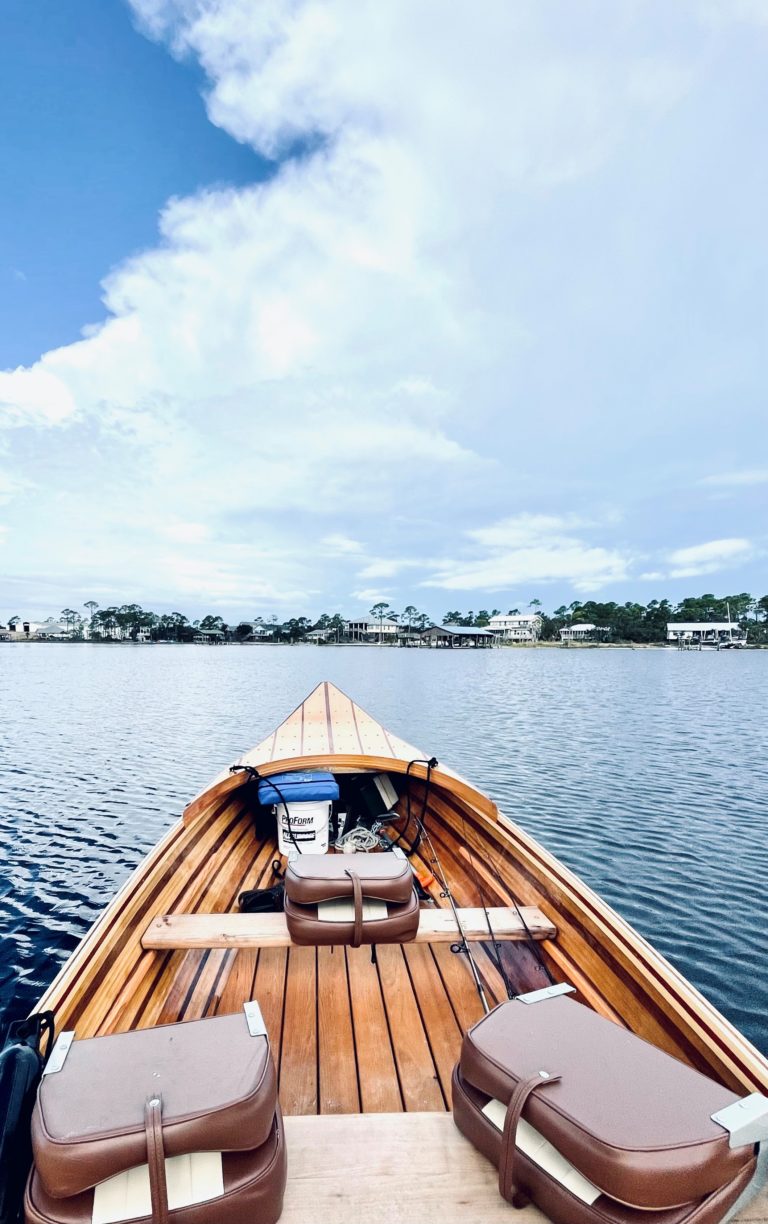 gatorforward2 768x1224