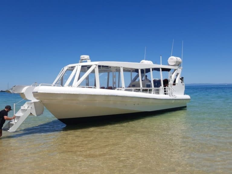 img tourist leatherback 1024x768 1 768x576