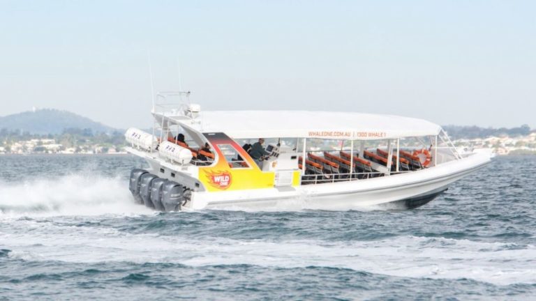 img tourist vessel mooloolaba 1024x576 1 768x432