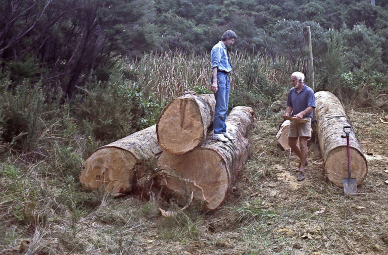 k wisptime 0178 768x505