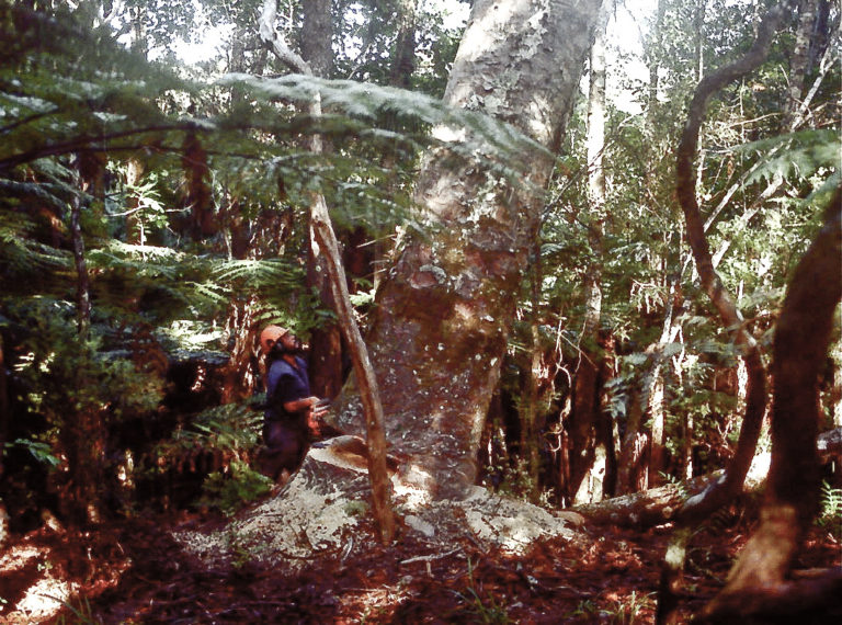 l wisptime 0154 768x570