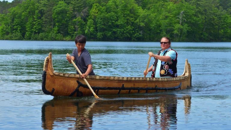 p1050211 1024x576 1 768x432