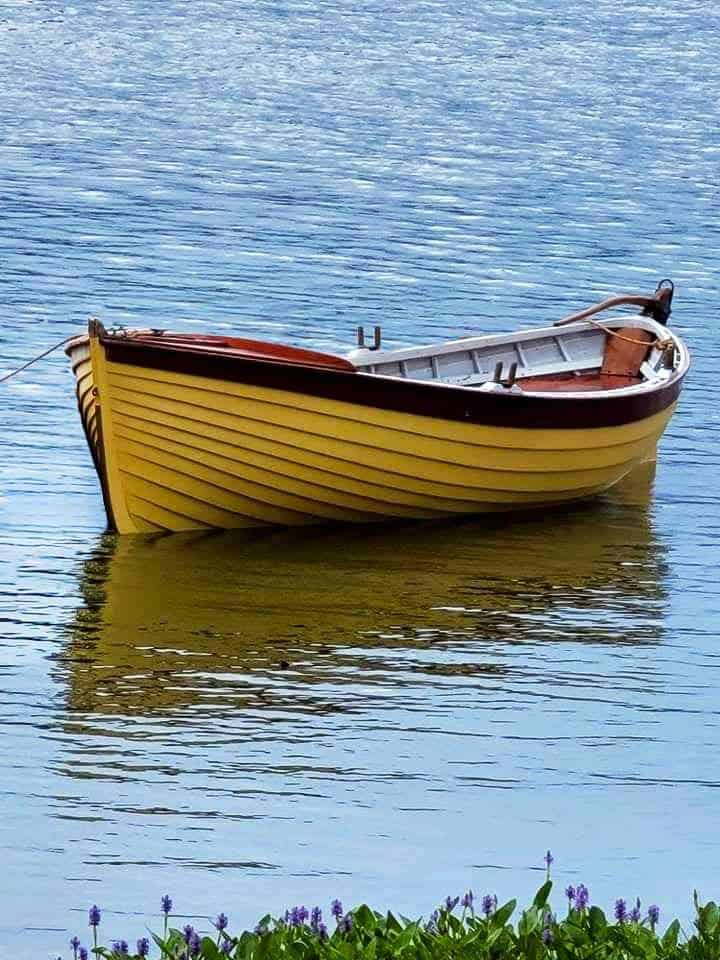 received 289935942922317