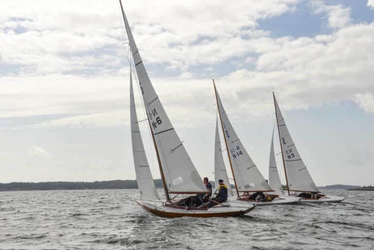 small DSC 1161 768x513