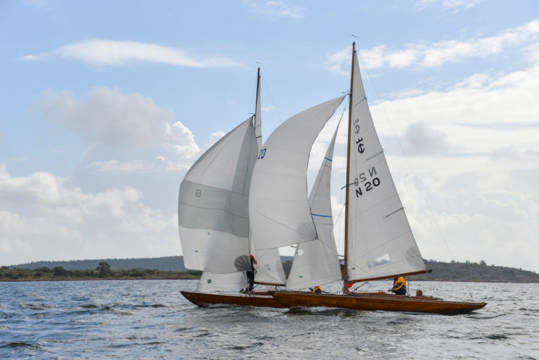 small DSC 1193 768x513