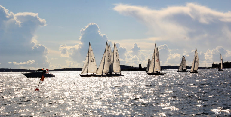 small IMG 5348 crop 768x389