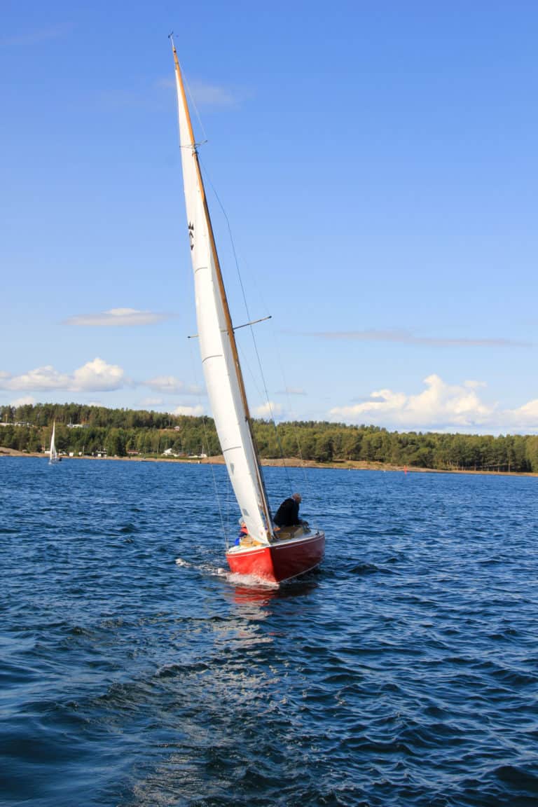 small IMG 5481 768x1152