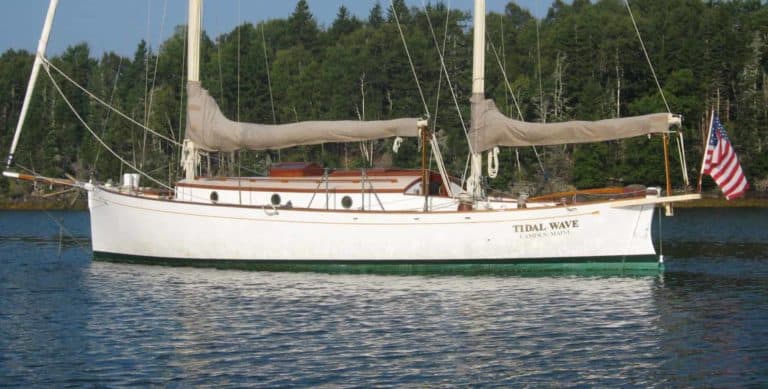 smoothie 037 copy 2048x1676 copy 768x389