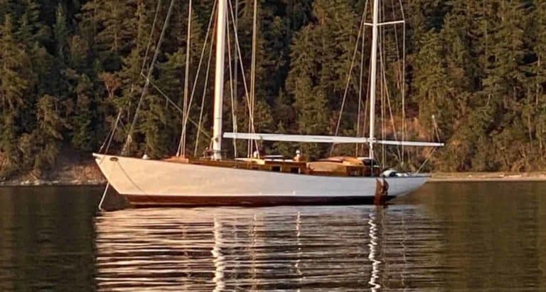 tempImagebxzQ5W 1536x2048 copy 768x410