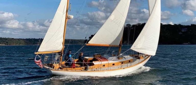 unnamed 9 copy 768x336