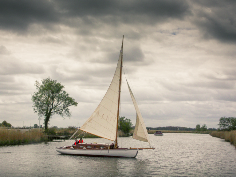 wp3bcc56a9 06 768x576