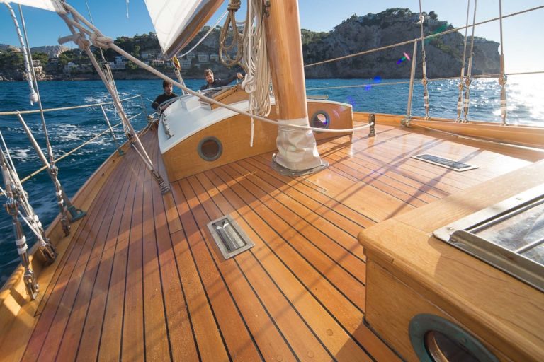 ZZ BeBo Zoe Mai Nov 2017 02645 768x512