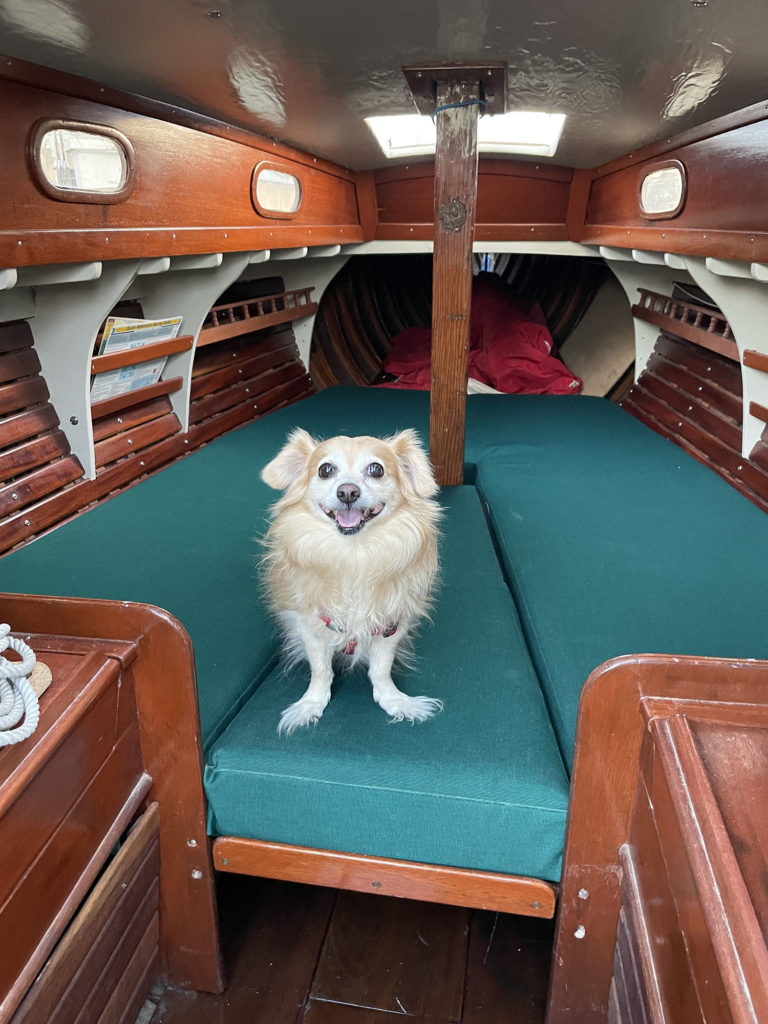 12 Interior with Sophie sm 768x1024