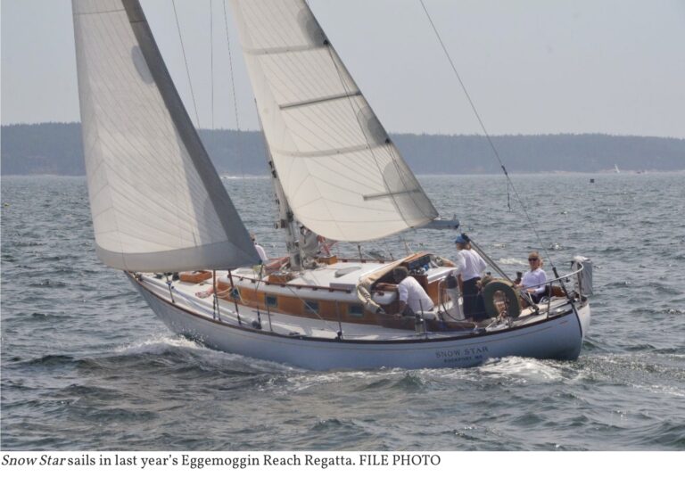 1B159459 9BB0 4C6C 9B00 F932417BD7A3 768x535