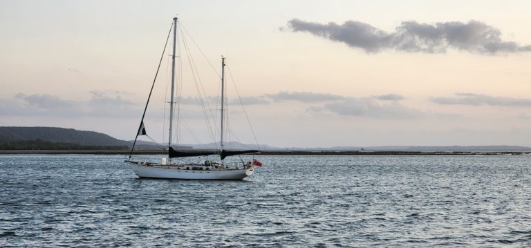 20221126 182013 1 768x359