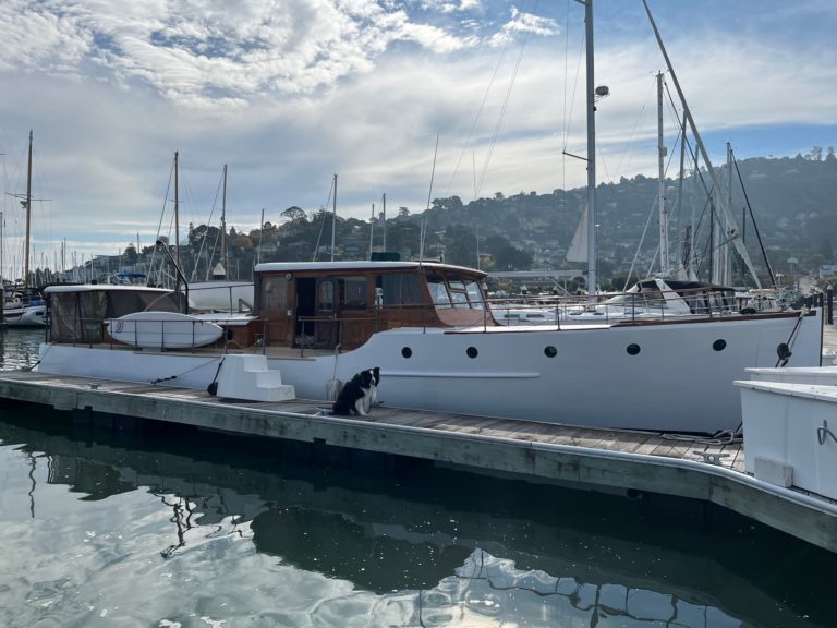 Lake Union Cruiser Pelican Harbour