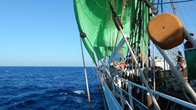 280118299 104329462278599 5770157357090087177 n 768x432