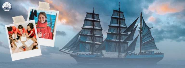 306003620 771618610847300 4489140660731455012 n 768x284