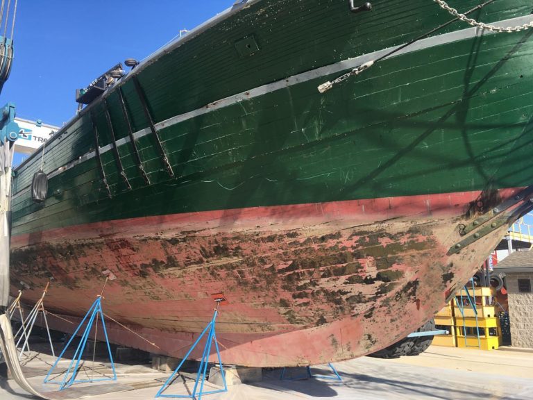 311590173 770202214352286 4148808692560341245 n 768x576