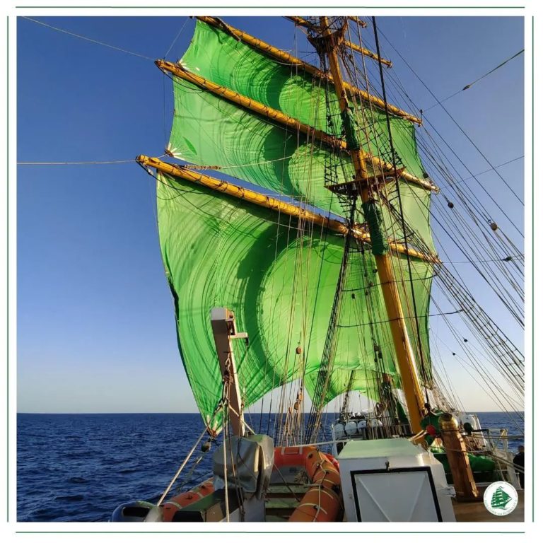 311826446 162775439772791 1874518861156128303 n 768x768