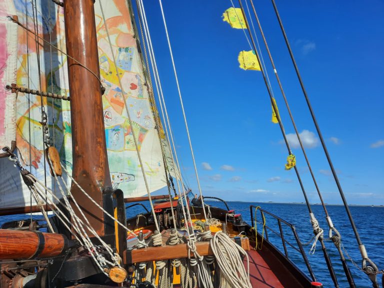 318249015 588679429928144 5121341100291395884 n 768x576