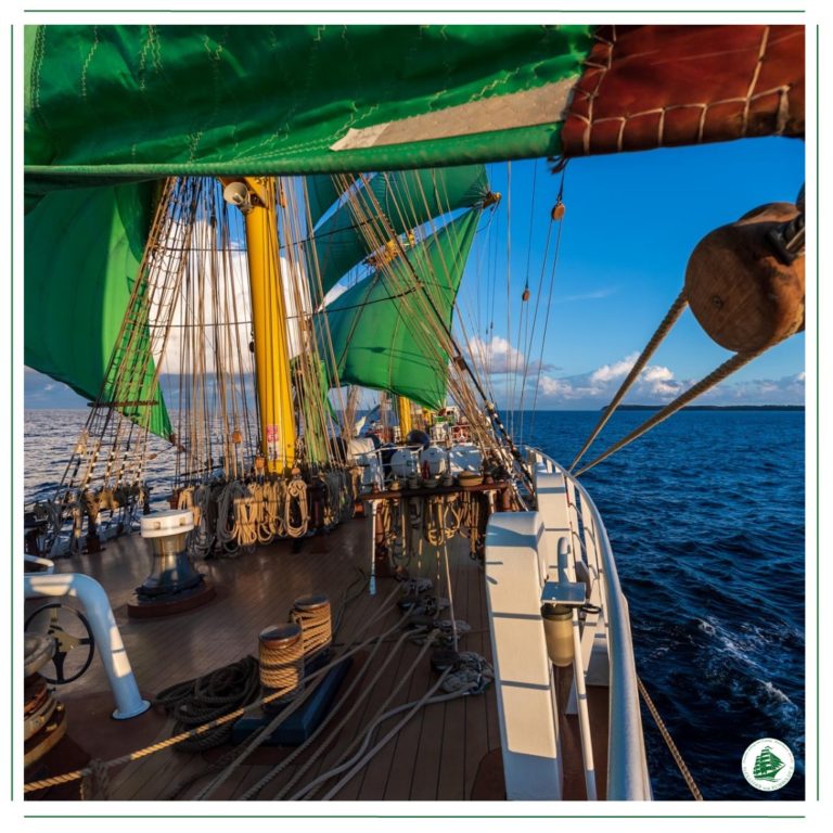 325537300 1363782534160689 4574773930585023929 n 768x768