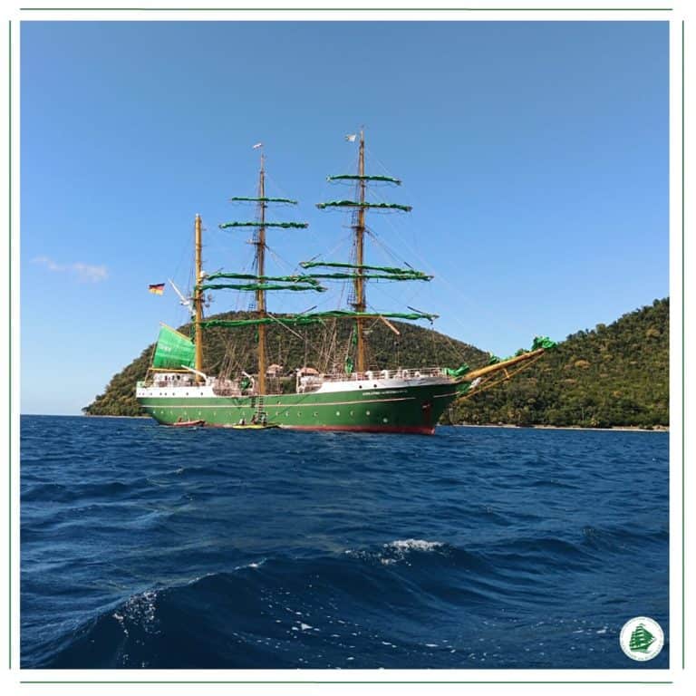 327671770 887096912614879 4838337774015869507 n 768x768