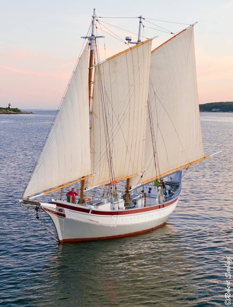 Ardelle Robert Serbagi  768x1010