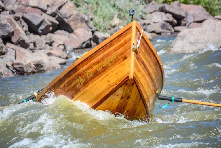 C9F9834B 780A 4A4E 873B 543FD7642316 768x513