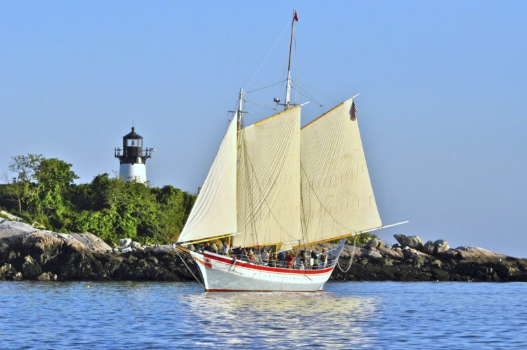 Carl 10lb Brighter copy 3 768x510