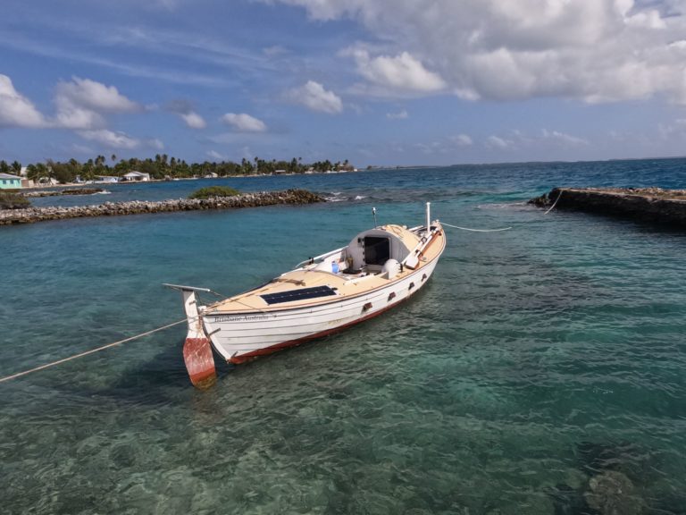 D533A314 0D3E 4A38 A0F8 19EE1CE2EFF8 768x576