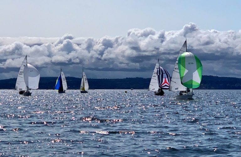 IMG 6517 1536x999 1 768x500